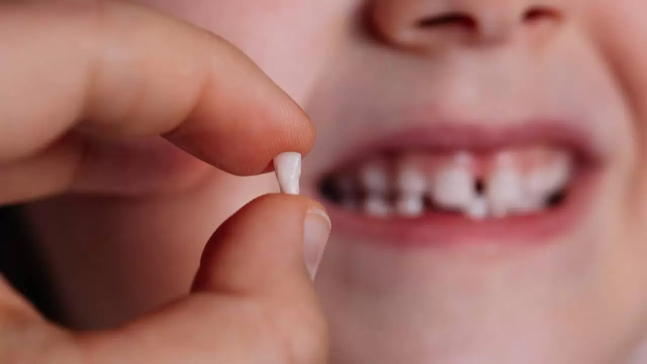 cuando-se-empiezan-a-caer-los-dientes-de-leche_deedb2d8_1280x720
